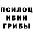 Галлюциногенные грибы Cubensis Karvagen Karvagen