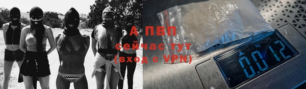 гашик Алексин