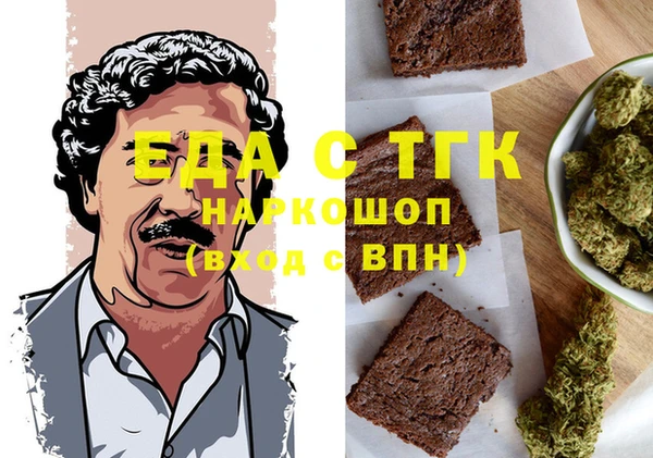 гашик Алексин