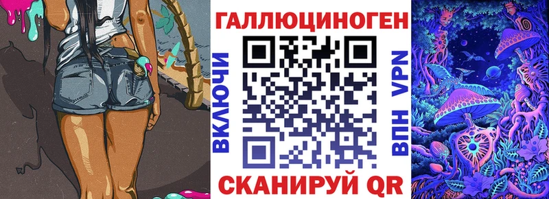 как найти наркотики  Темников  Псилоцибиновые грибы Psilocybe 